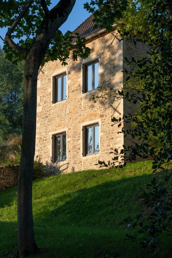 Chateau Du Souzy Quincié-en-Beaujolais エクステリア 写真