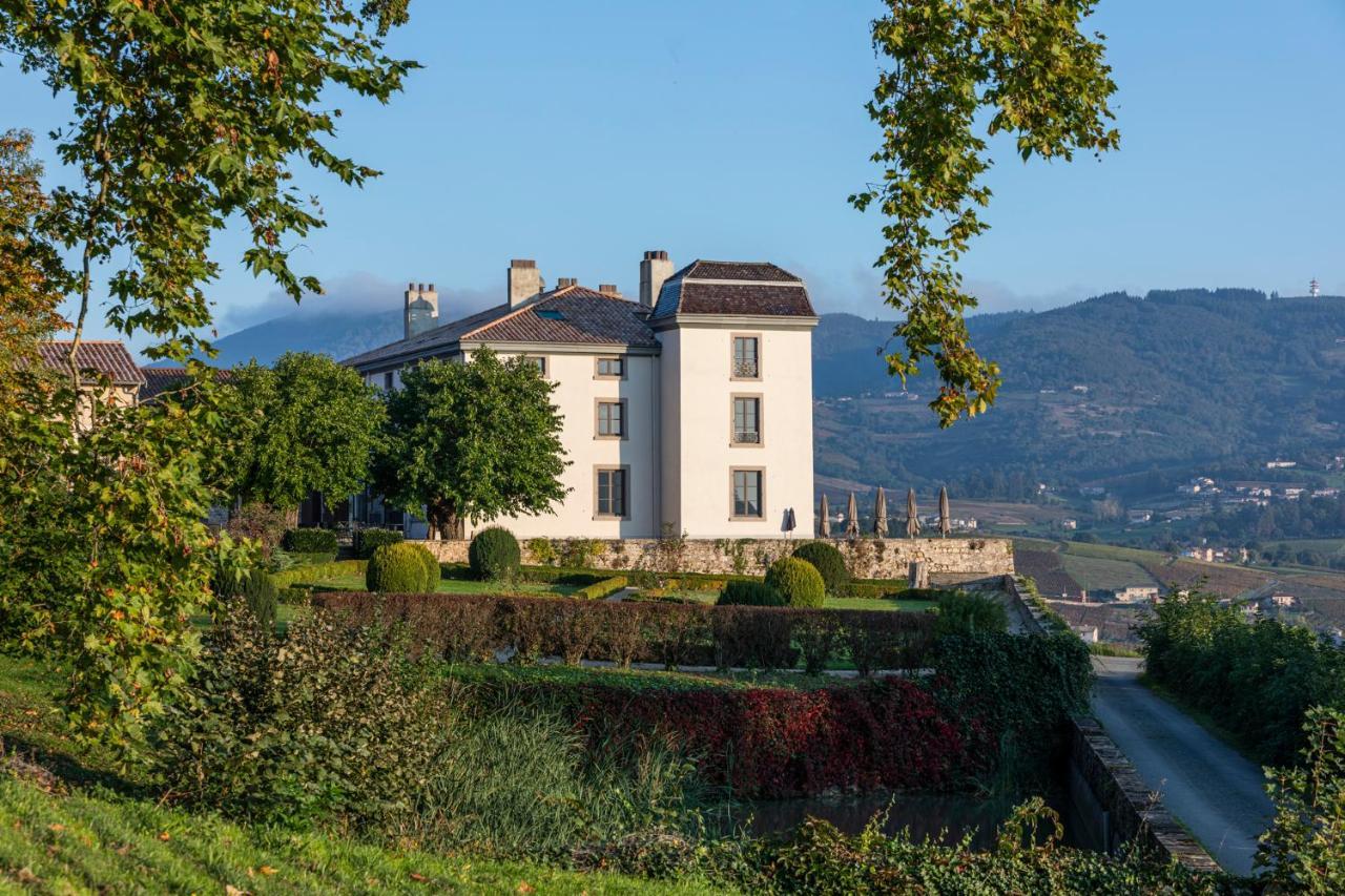 Chateau Du Souzy Quincié-en-Beaujolais エクステリア 写真
