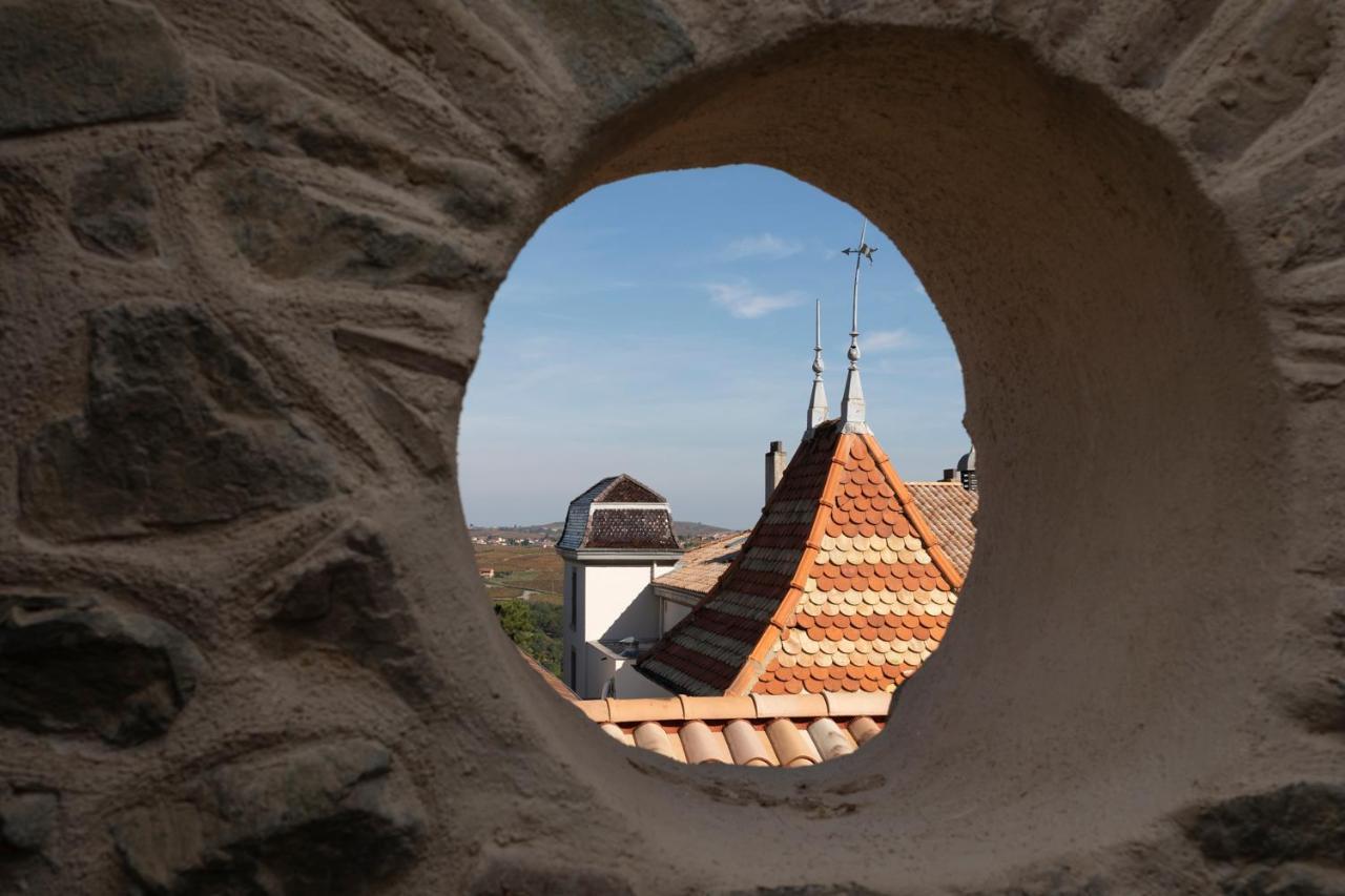 Chateau Du Souzy Quincié-en-Beaujolais エクステリア 写真