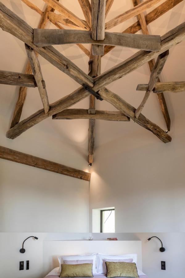 Chateau Du Souzy Quincié-en-Beaujolais エクステリア 写真
