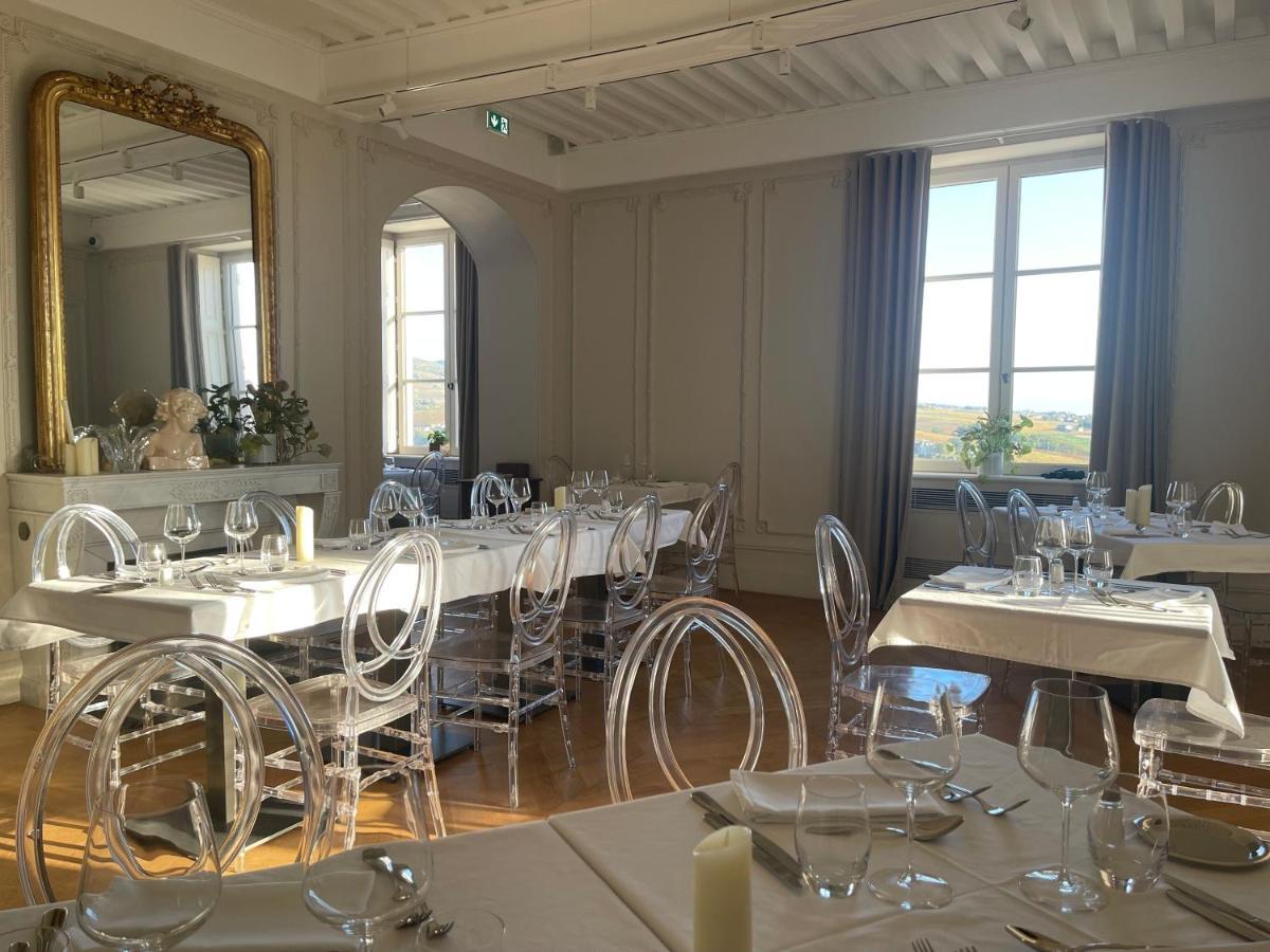 Chateau Du Souzy Quincié-en-Beaujolais エクステリア 写真