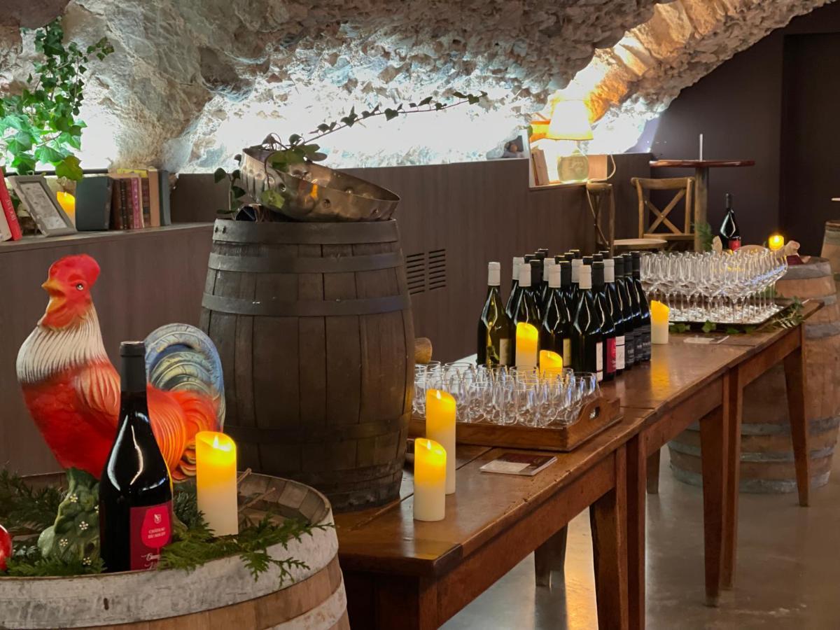 Chateau Du Souzy Quincié-en-Beaujolais エクステリア 写真