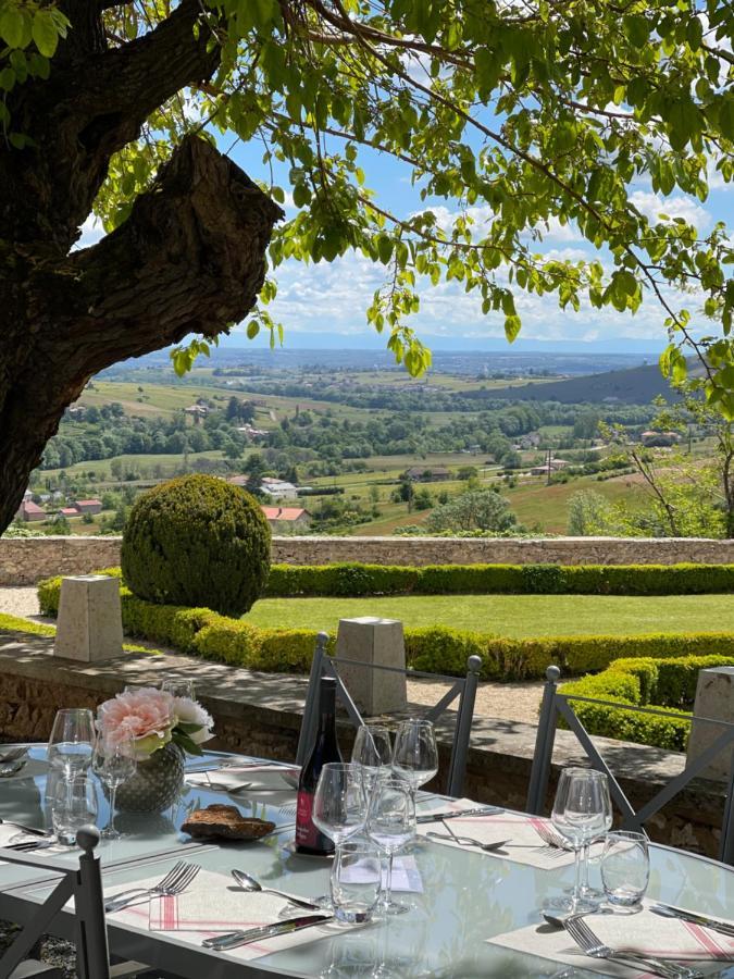 Chateau Du Souzy Quincié-en-Beaujolais エクステリア 写真