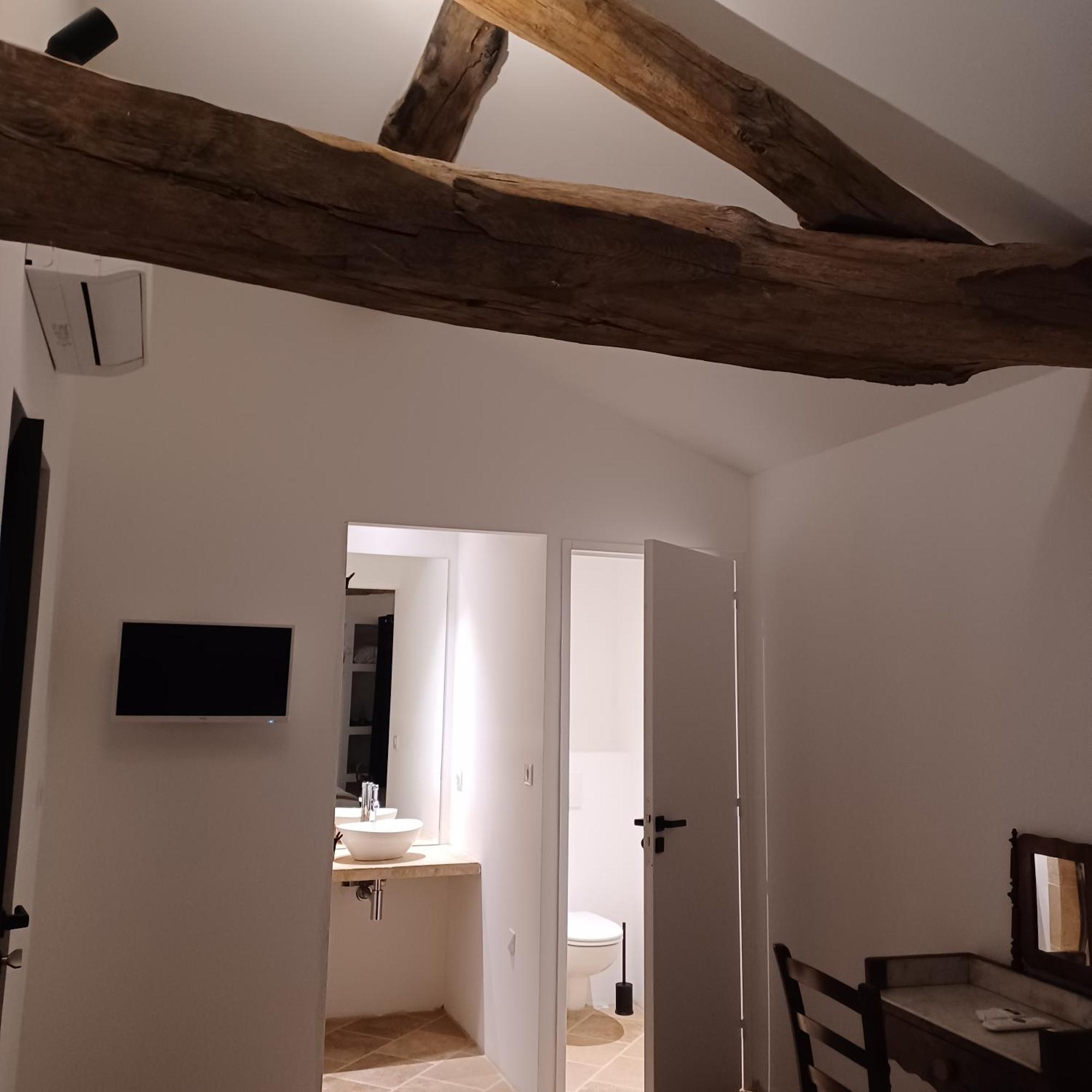 Chateau Du Souzy Quincié-en-Beaujolais エクステリア 写真